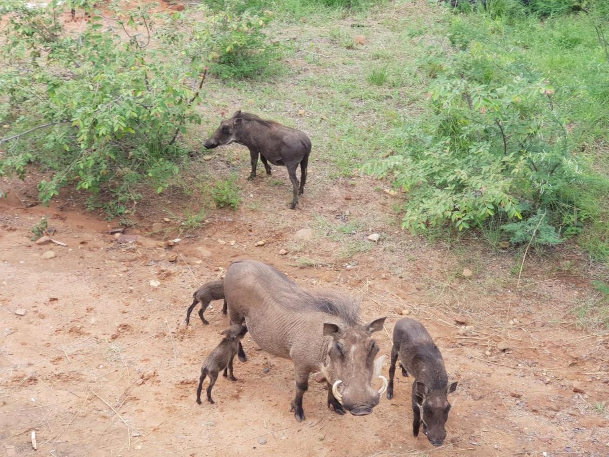 636 Itaga Safari Lodge, Mabalingwe Nature Reserve Mabula Game Reserve المظهر الخارجي الصورة