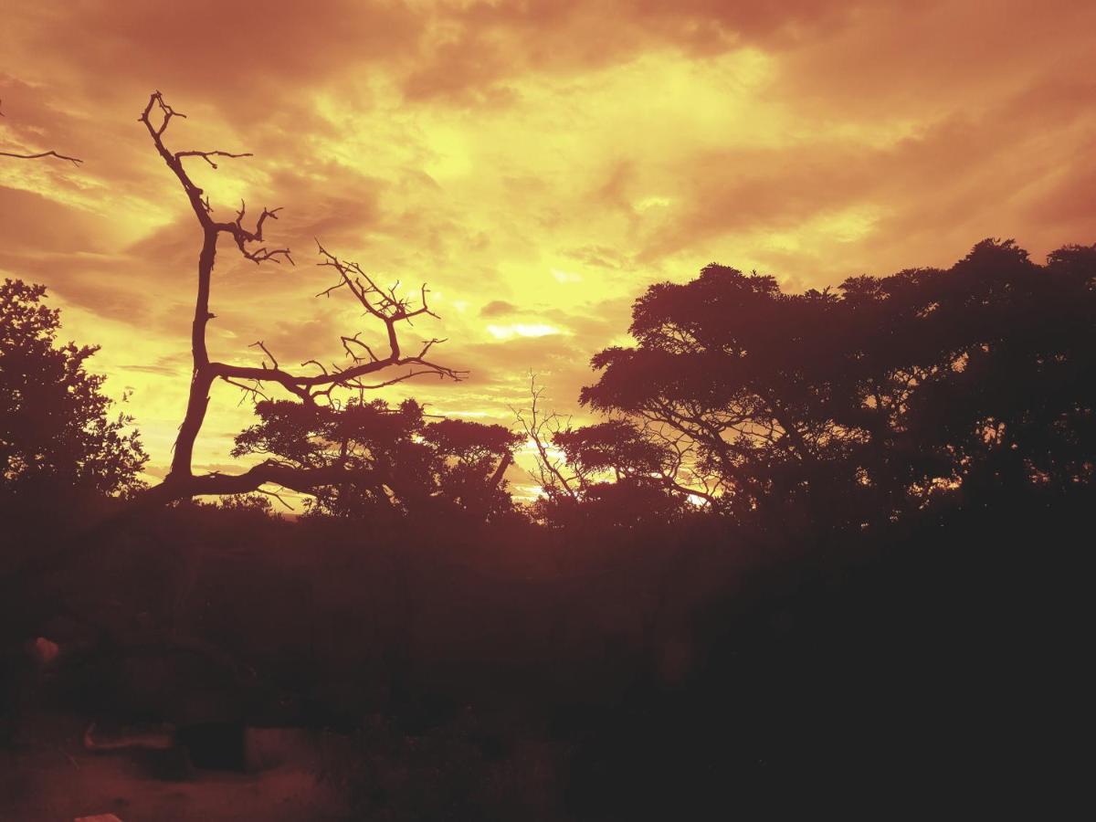 636 Itaga Safari Lodge, Mabalingwe Nature Reserve Mabula Game Reserve المظهر الخارجي الصورة